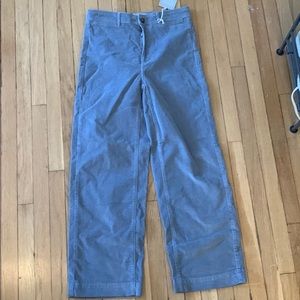 Everlane Blue Corduroy Wide Leg Pants